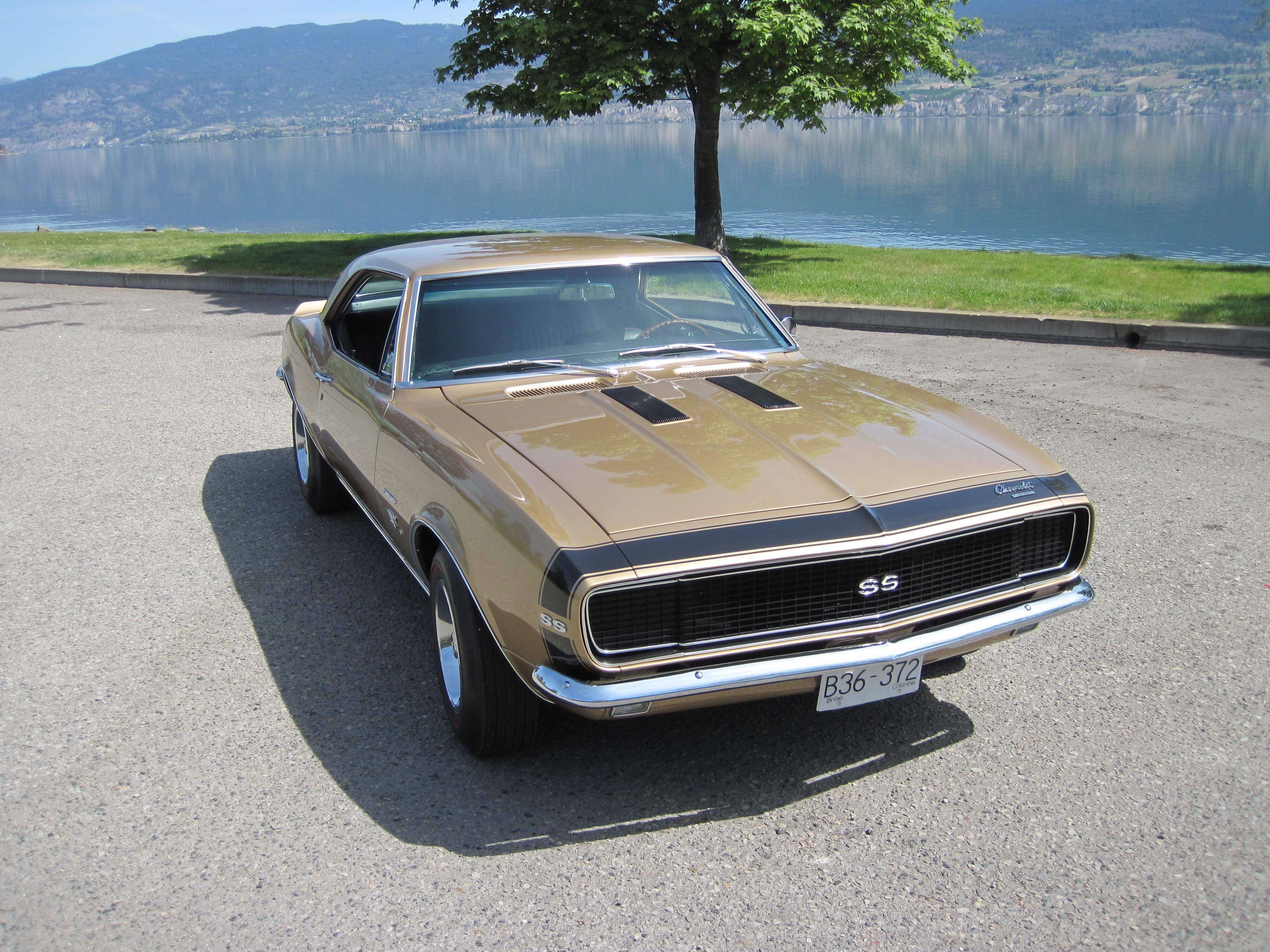 Steven S Chevrolet Camaro Holley My Garage