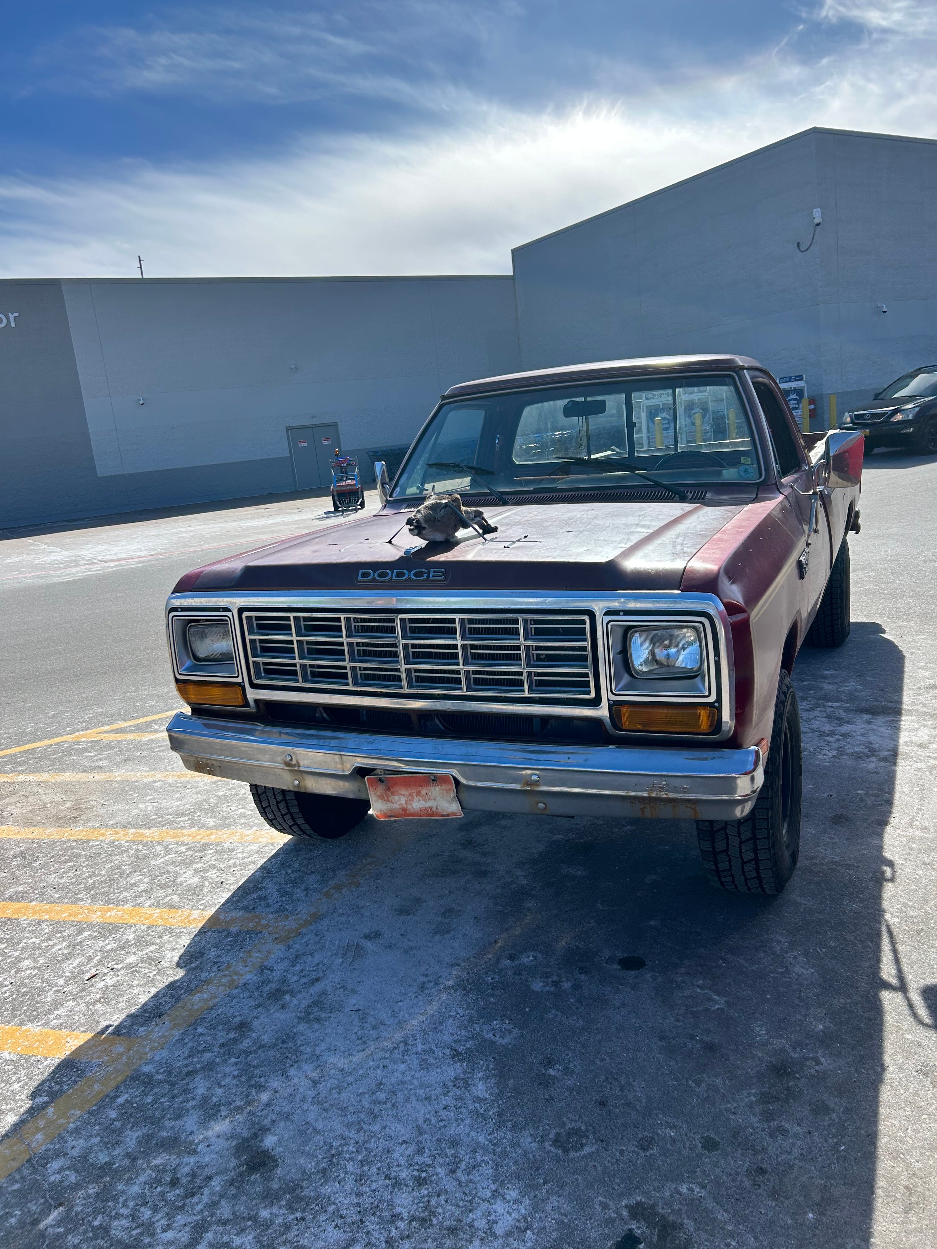 Daniel S Dodge W Holley My Garage