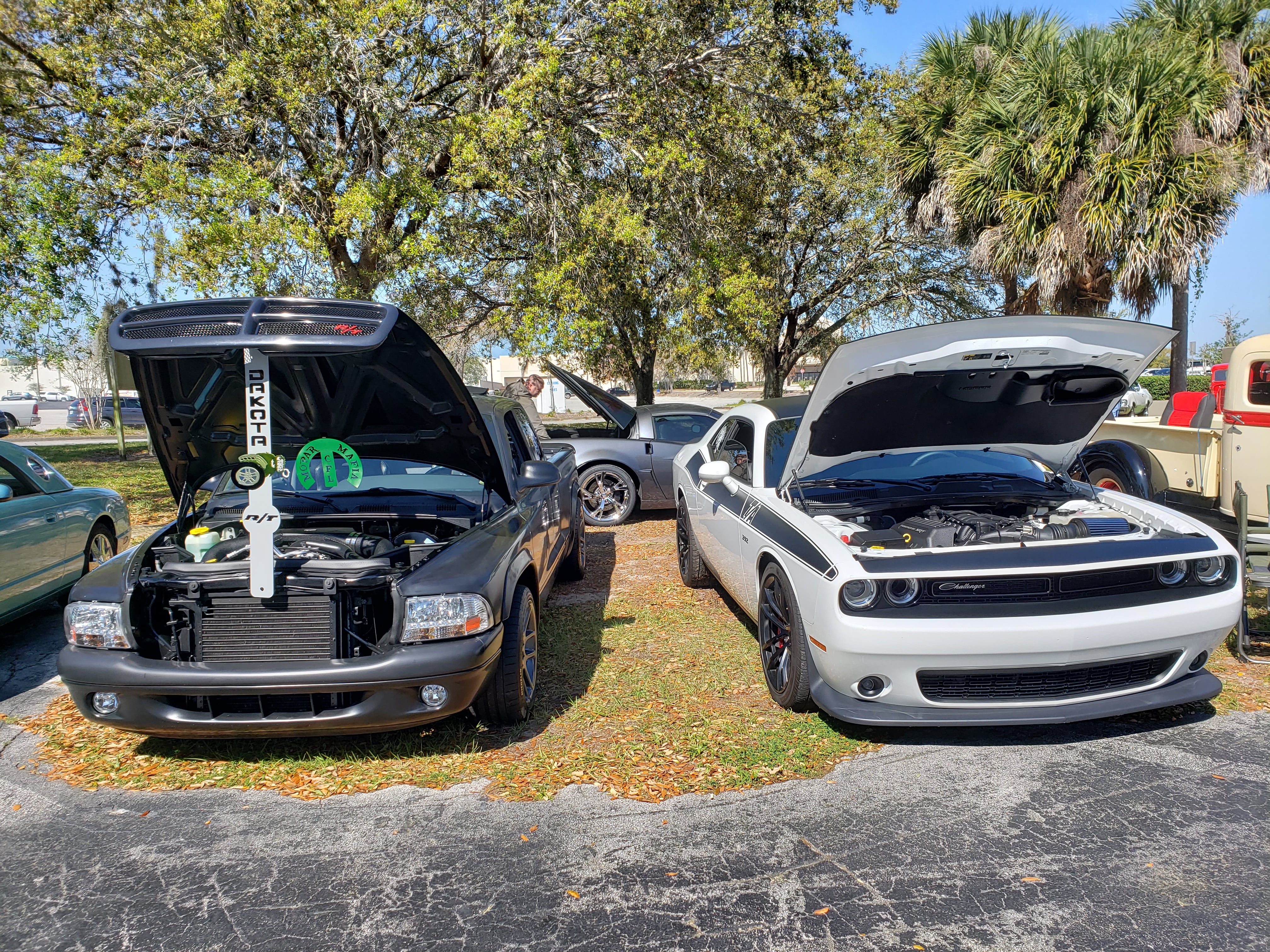3777D418-B26B-4DFD-892B-AA8CDE337671.jpg