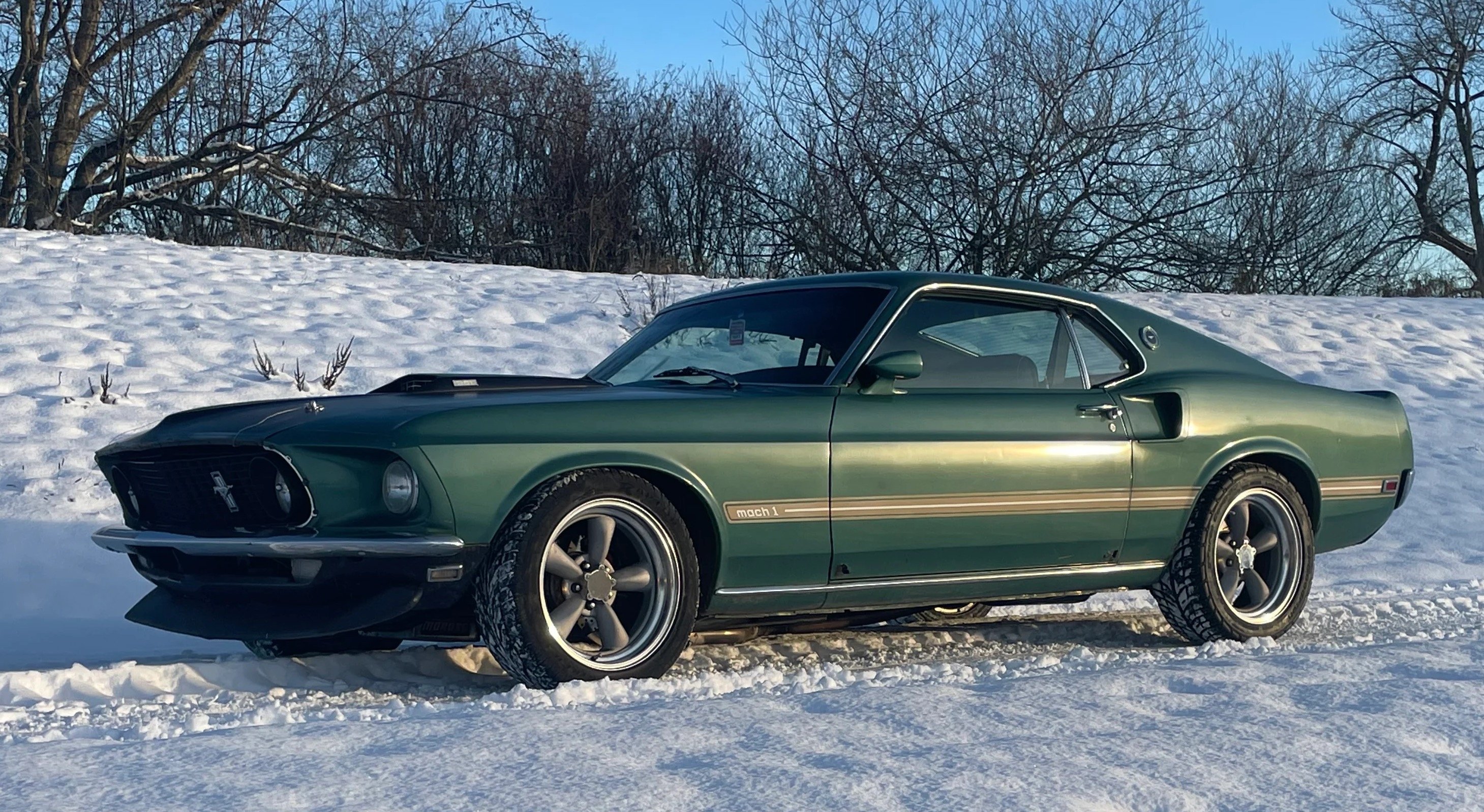 Steve's 1969 Ford Mustang - Holley My Garage