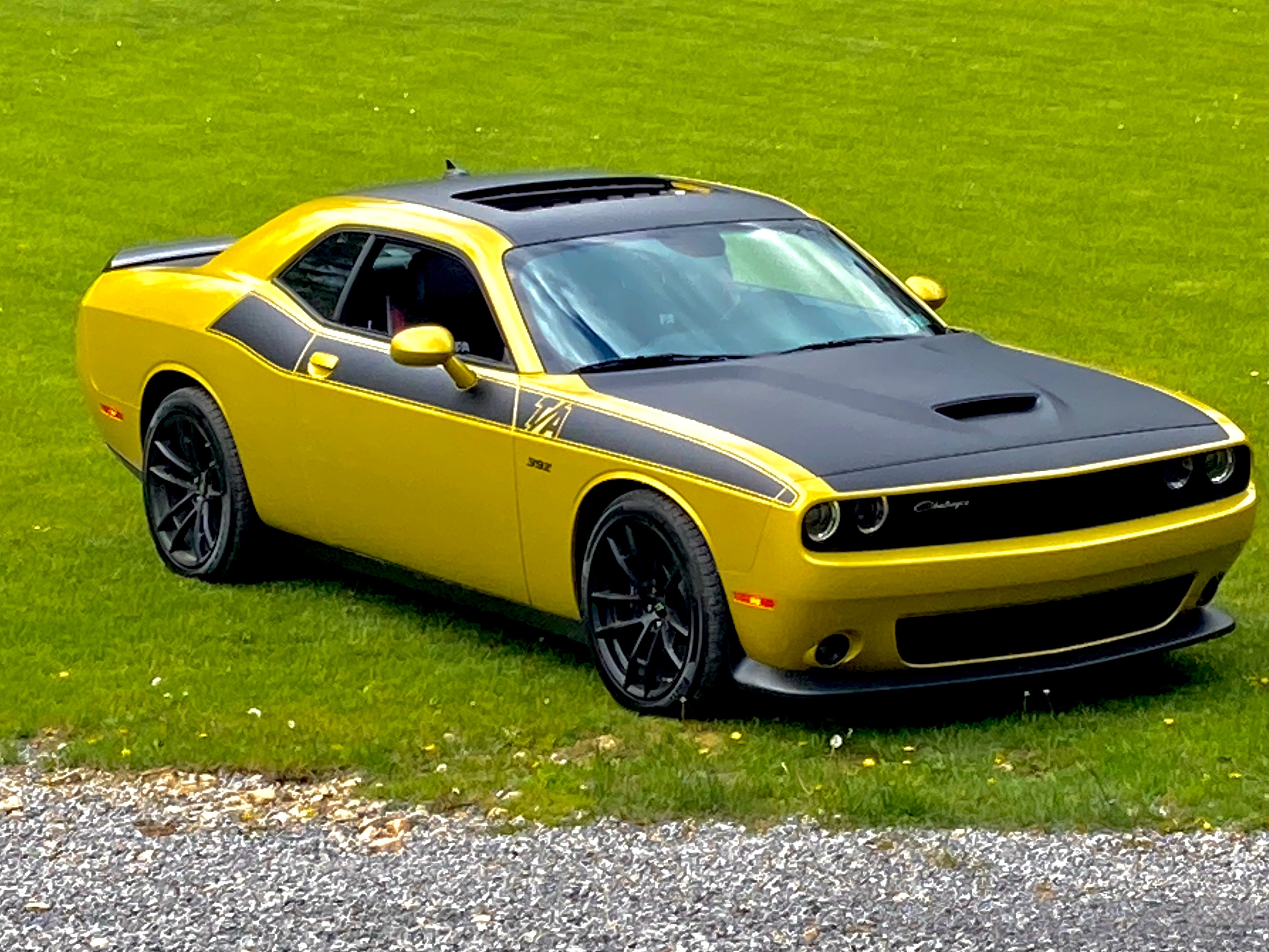Greg's 2021 Dodge Challenger Holley My Garage