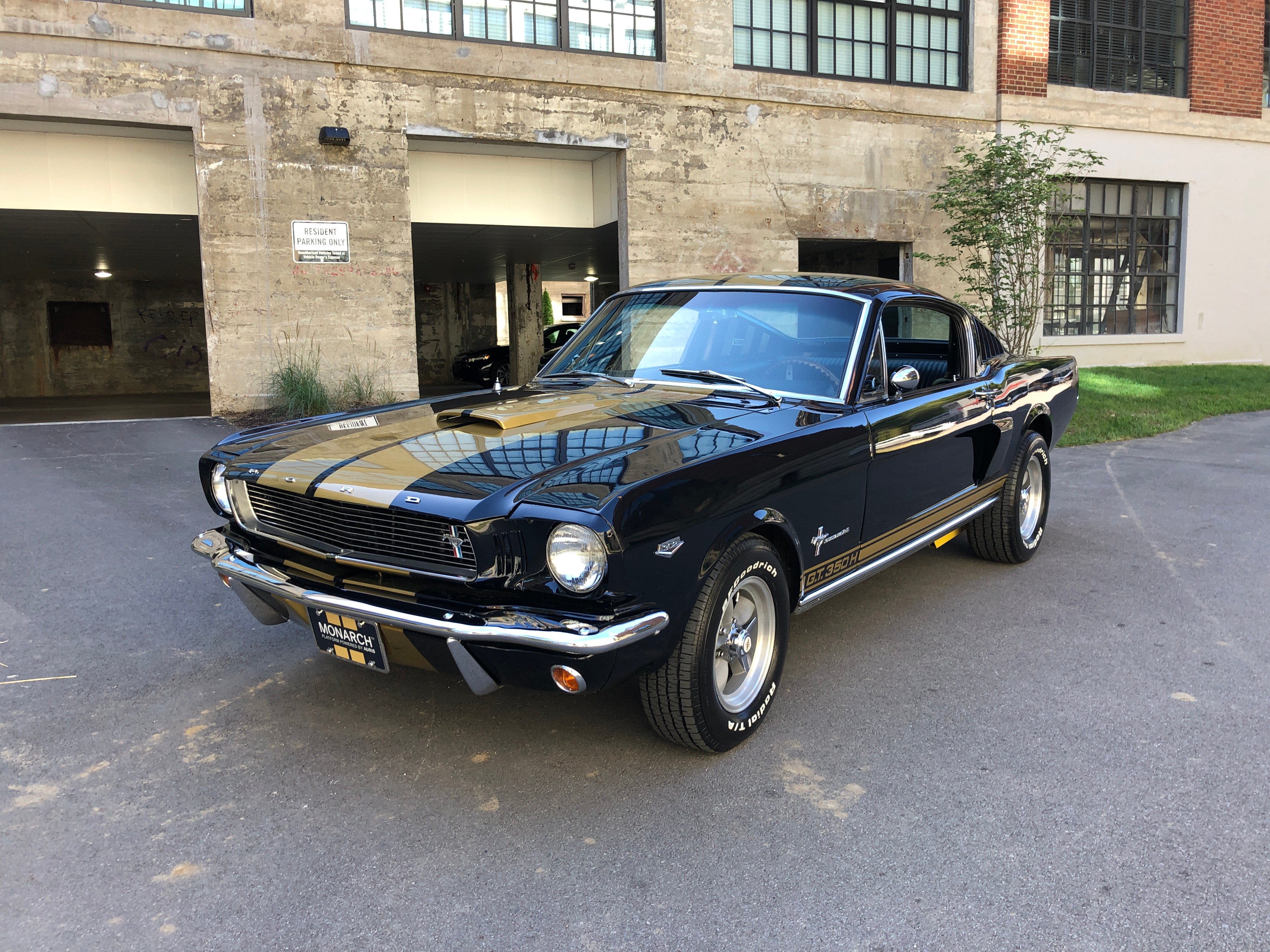 Mustang Joint Cover Trim Fastback 1965-1966 Scott Drake