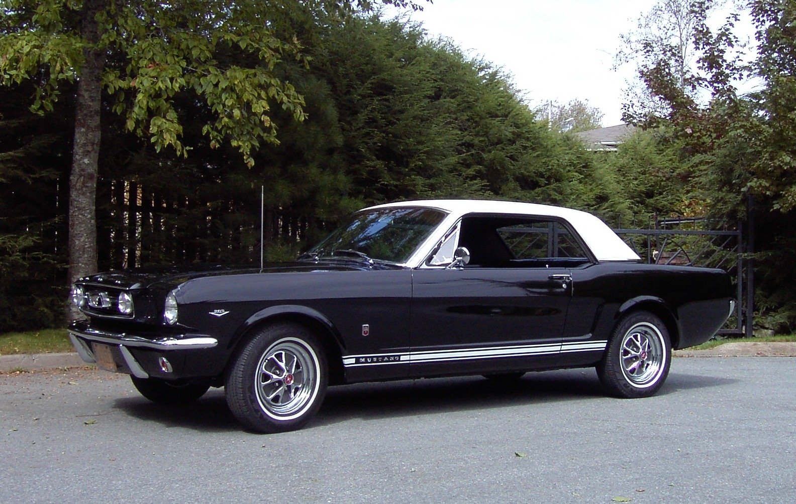 john's 1966 Ford Mustang - Holley My Garage