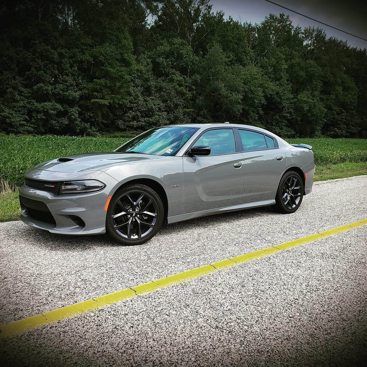Bryan's 2019 Dodge Charger Holley My Garage